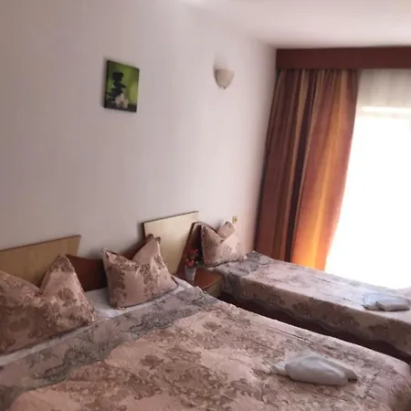 Gazde/Camere de închiriat Flavia *